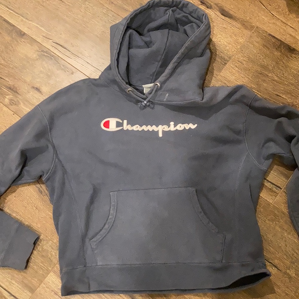 blue champion hoodie
